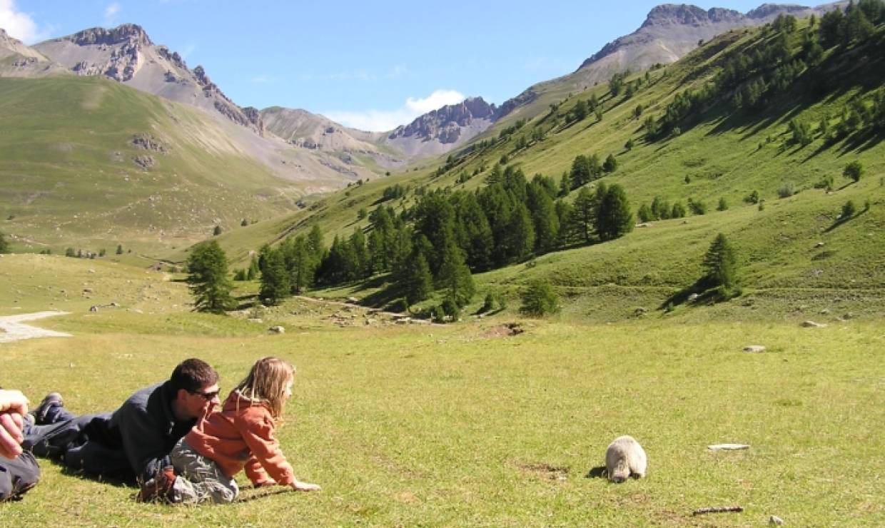 Rencontre avec les marmottes © Rando Passion