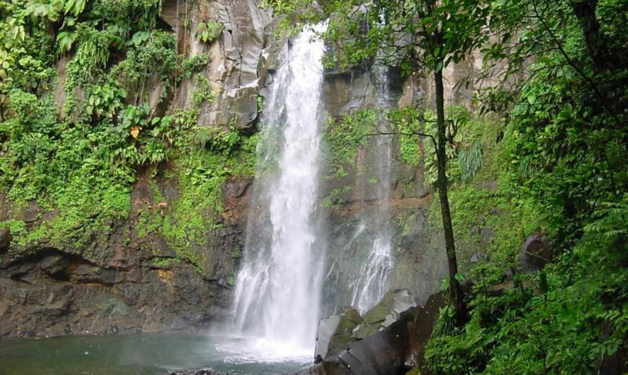 Randonnée sur la trace de la troisième chute du Carbet - Parc national