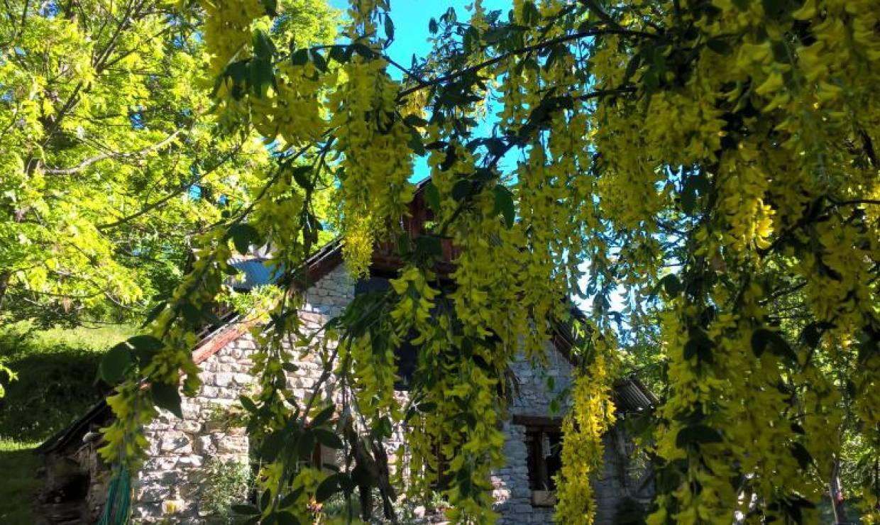 le printemps à la Coquille