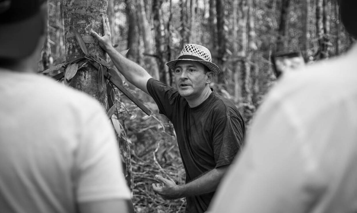 Visite - culture de la vanille en agroforesterie