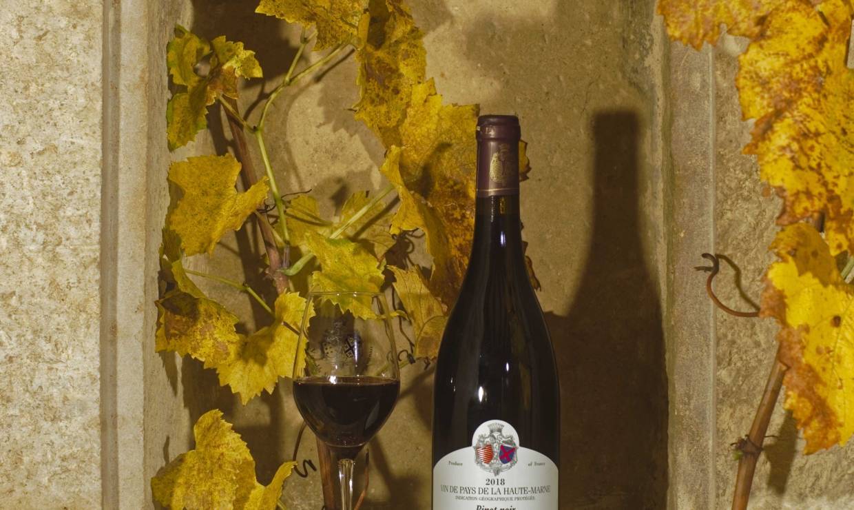 Pinot noir