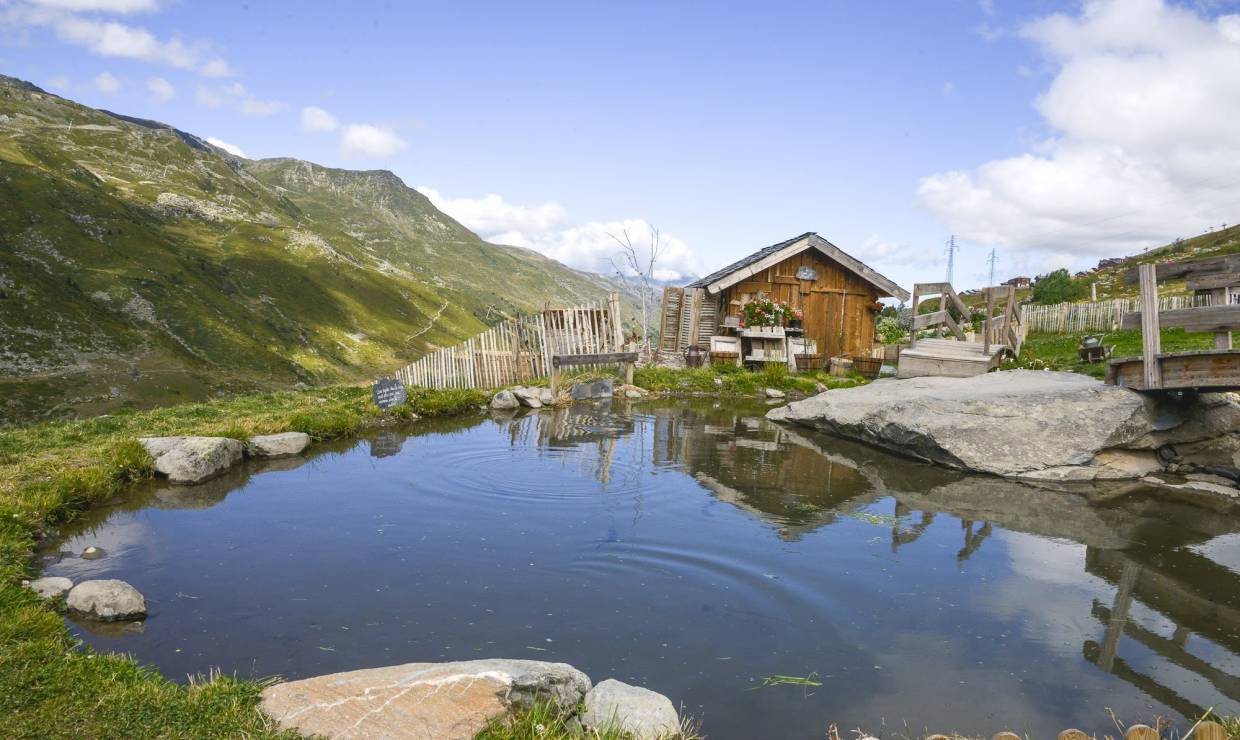 Chalet d'alpage-restaurant chez Pépé Nicolas