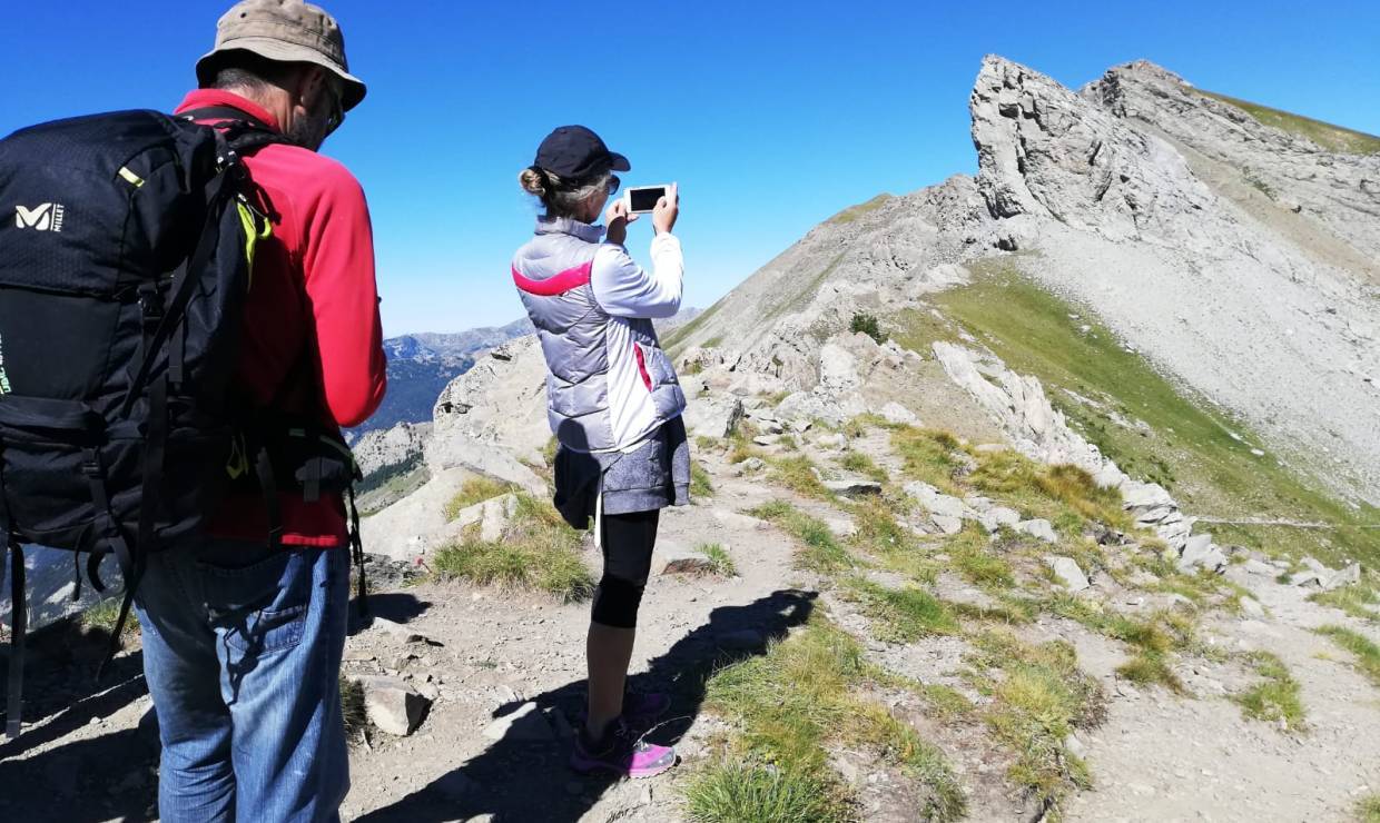 Randonnée la grande faune du Mercantour