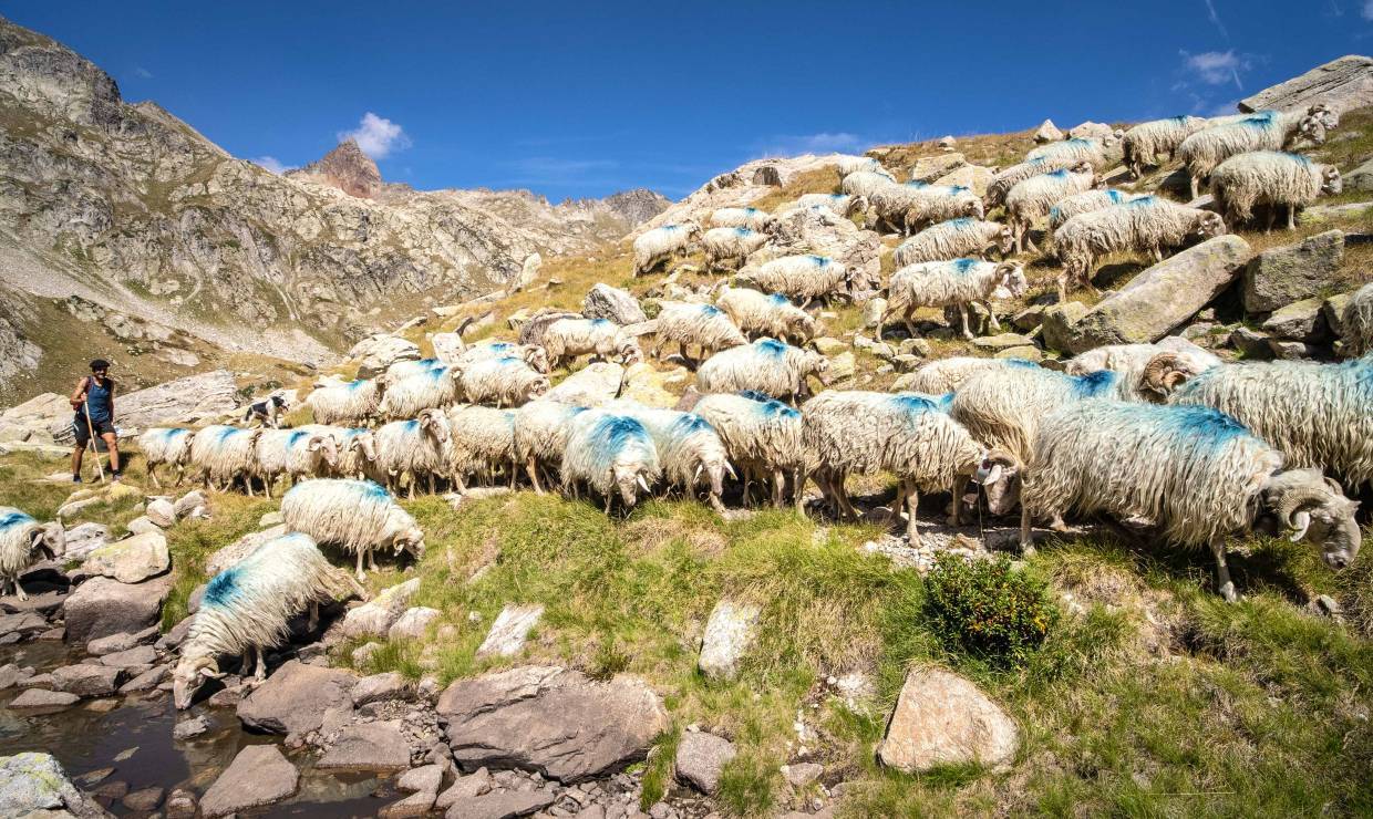 Ferme Cazaux - AE-Médias - P. MEYER/Parc national des Pyrénées