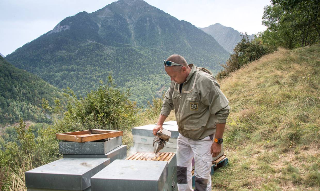 Les Ruchers Nestes Baronnies - Céline Lecomte - OFB