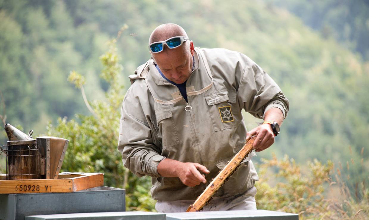 Les Ruchers Nestes Baronnies - Céline Lecomte - OFB