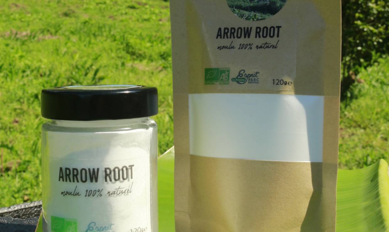 Arrow-root © Domaine de Picasso
