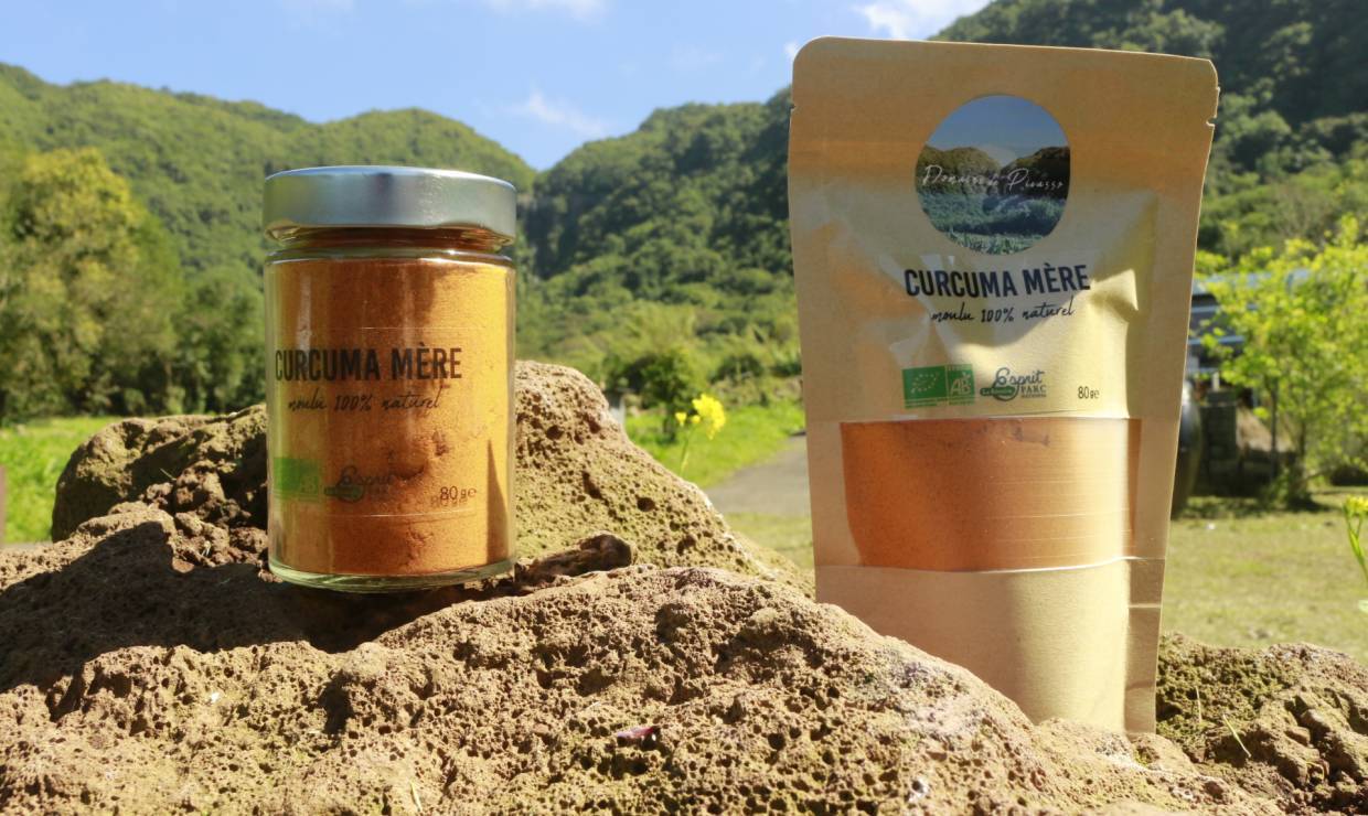 Curcuma mère © Domaine de Picasso