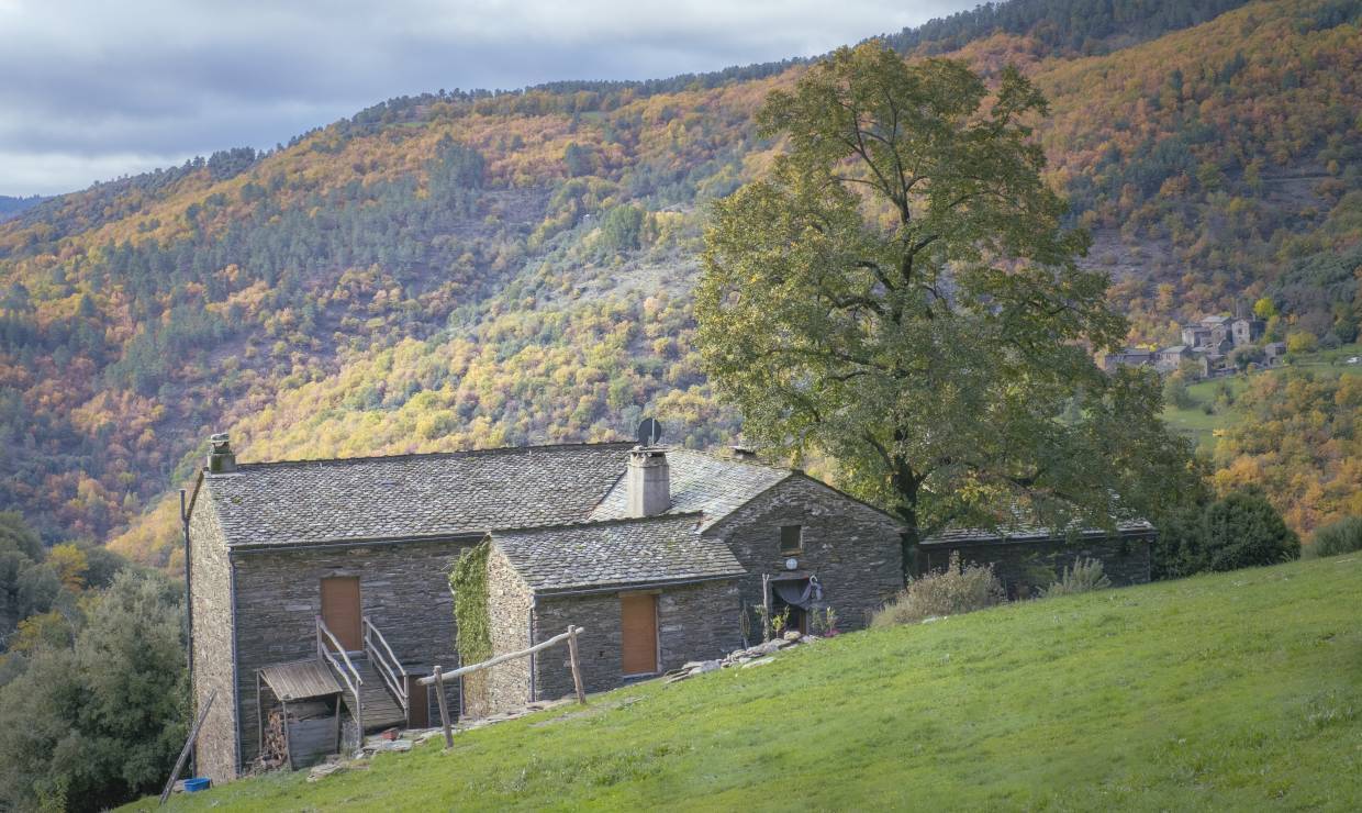 Un gîte niché au cœur des Cévennes