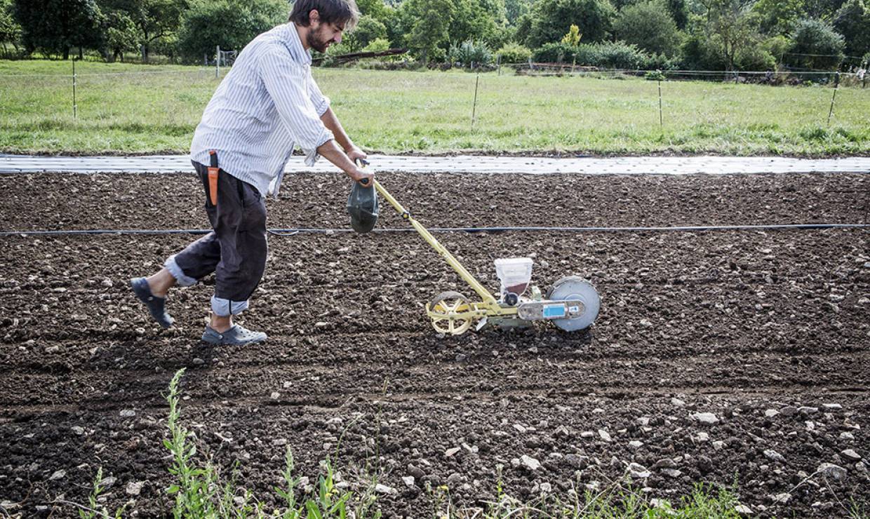 Plantation © Baptiste Galissot - Aujon Nos légumes