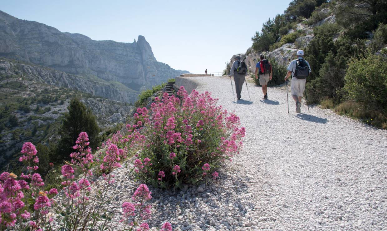 Randonnée Au cœur des Calanques, En Route Provence © Céline Lecomte - OFB