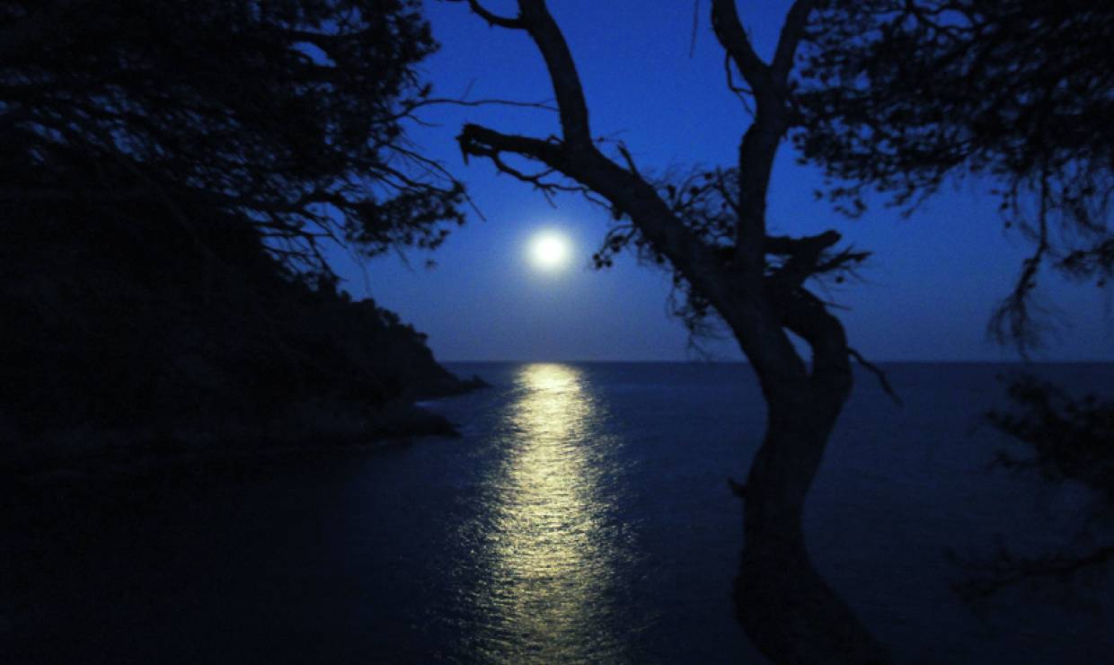 Balade nocturne