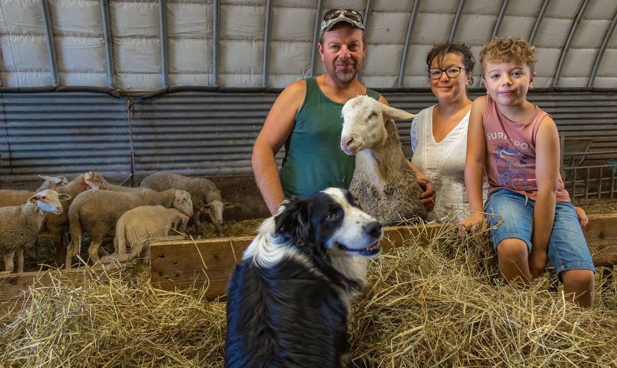 Famille Amar - Ferme des Bichoux