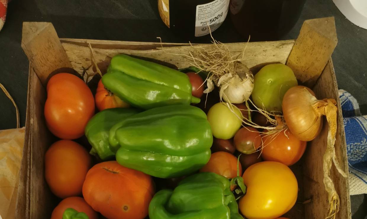 Maraîchage 2