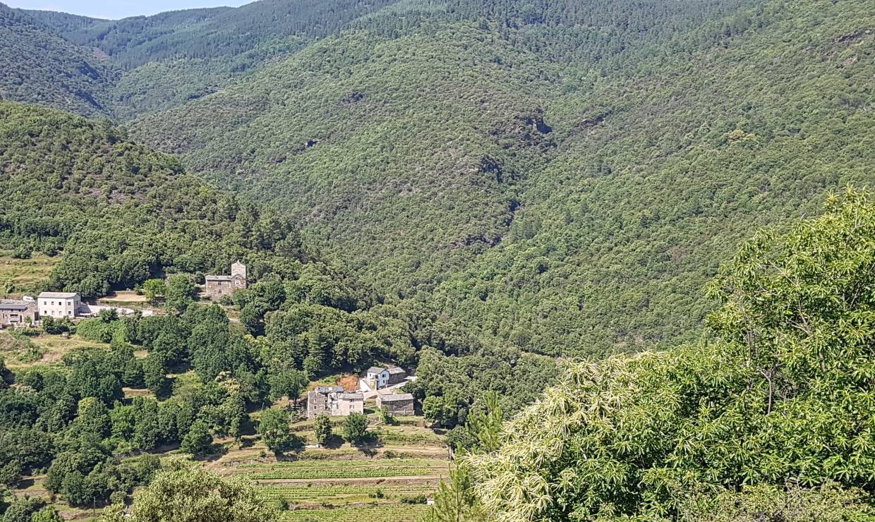 Vue générale © Clos de la Rouvière