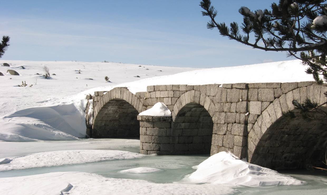 pont du tarn