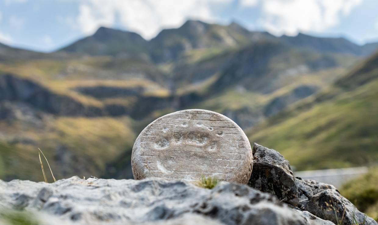 P. MEYER AE. Médias - Parc national des Pyrénées