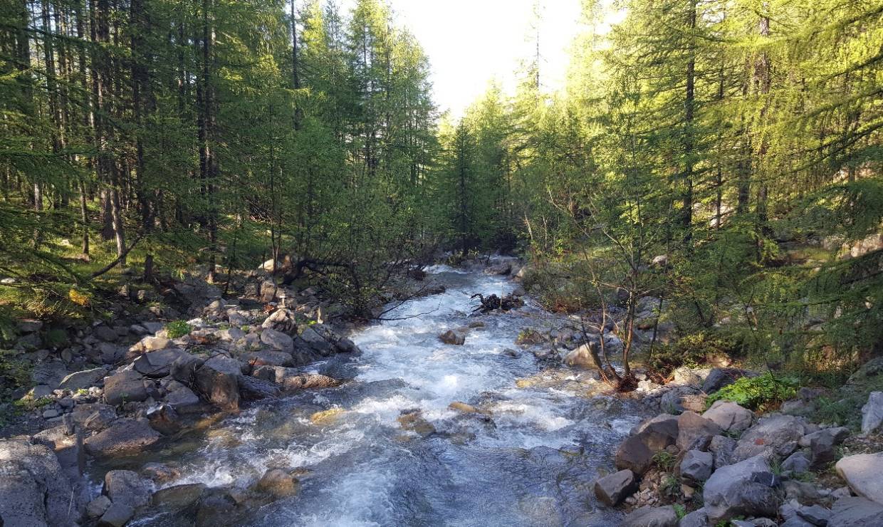 riviere sanguiniere
