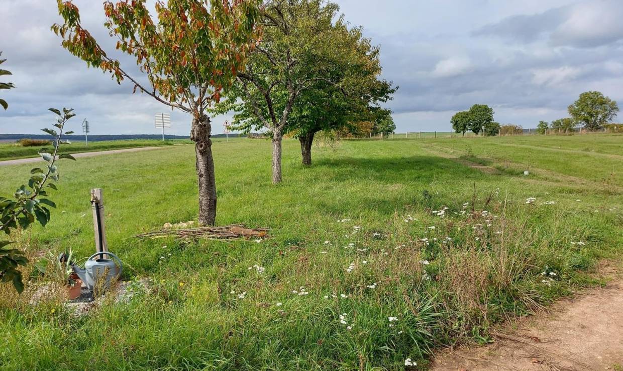 Les fruitiers des Chenevières de Colmier le Haut