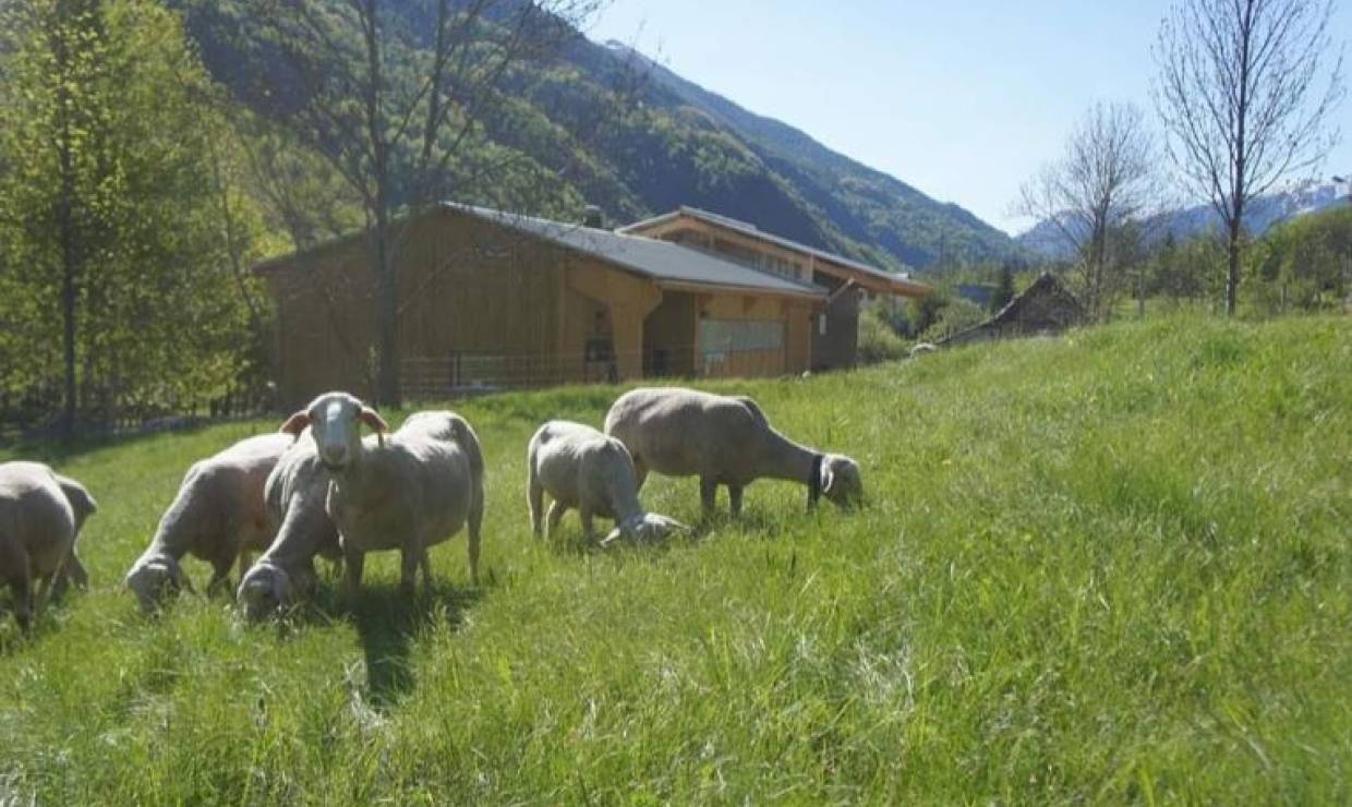 Vue générale © La Bergerie de La Belloire