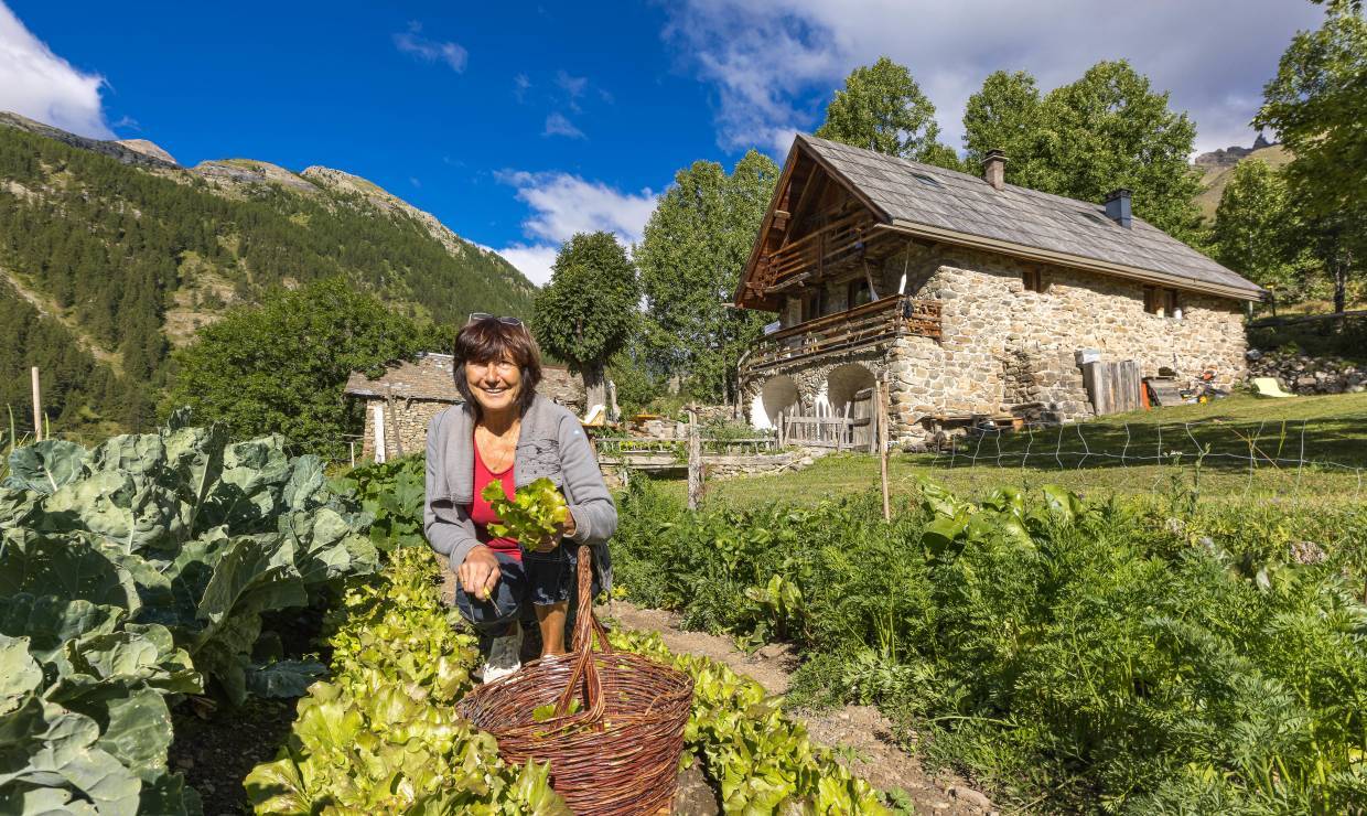 Ecrin de Violette Jardin