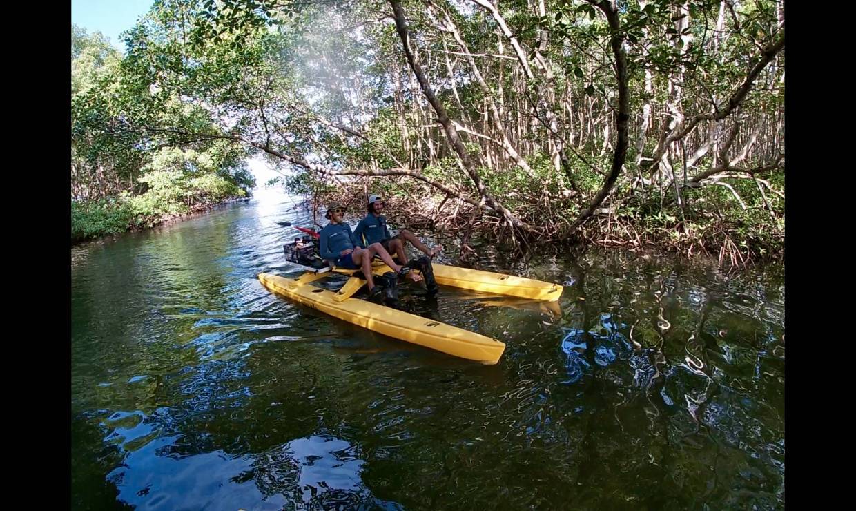 Mangov Ecotour