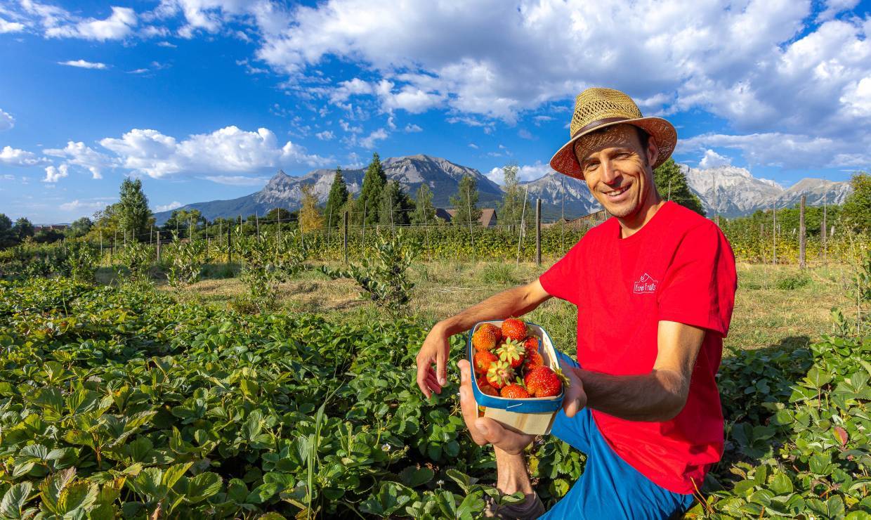 Ecrins de Fruits