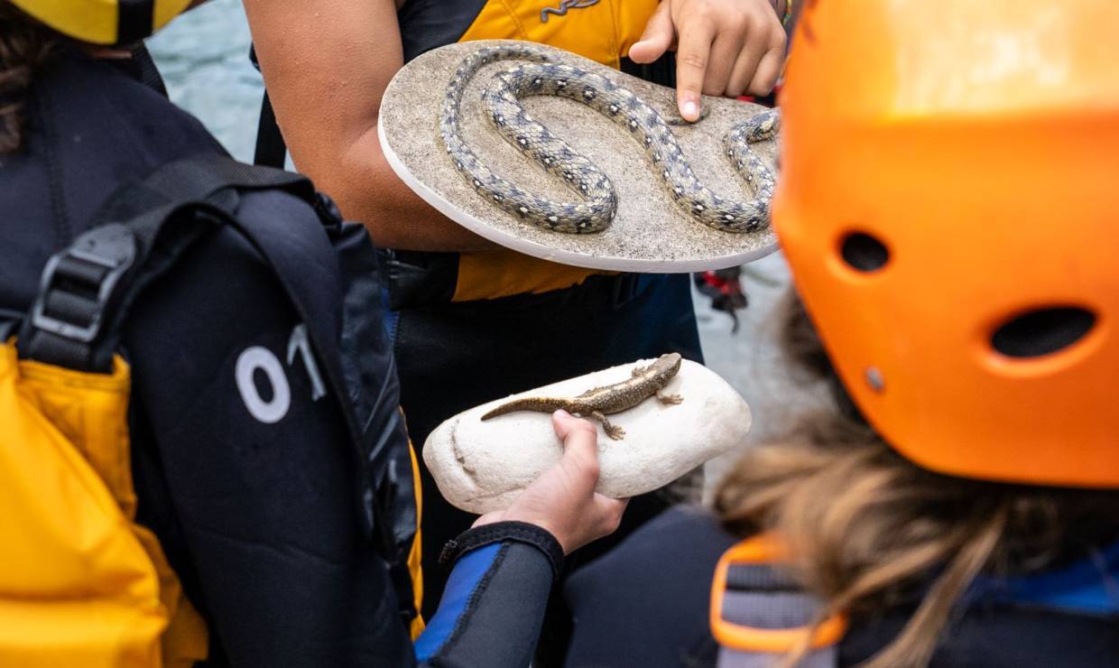 Sortie Comme un Desman dans l'eau, Tom Rafting © Pierre Meyer-AE Médias - Parc national des Pyrénées