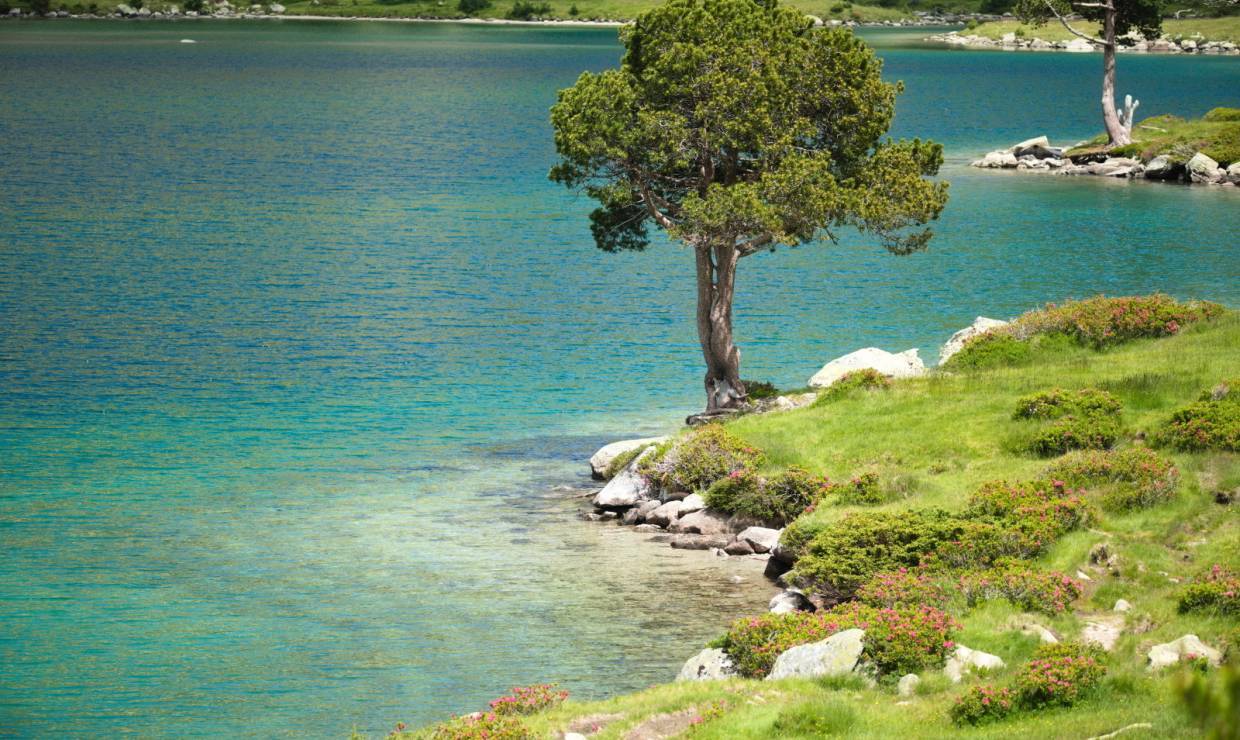 Réserve naturelle du Néouvielle - L. REIGNE - Parc national des Pyrénées