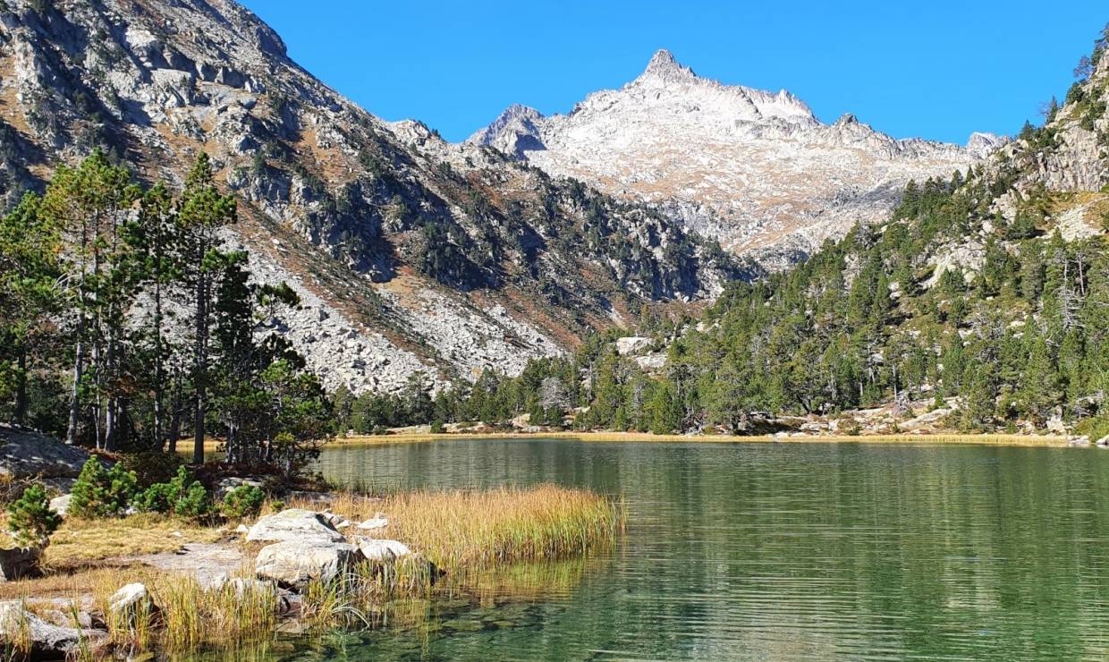 Réserve naturelle du Néouvielle - E. SOURP - Parc national des Pyrénées