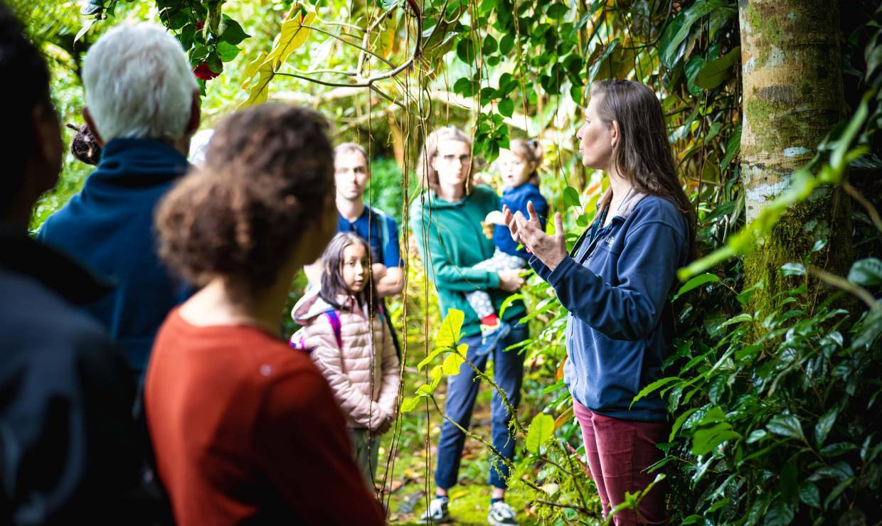 Visite guidée - La Vallée Heureuse