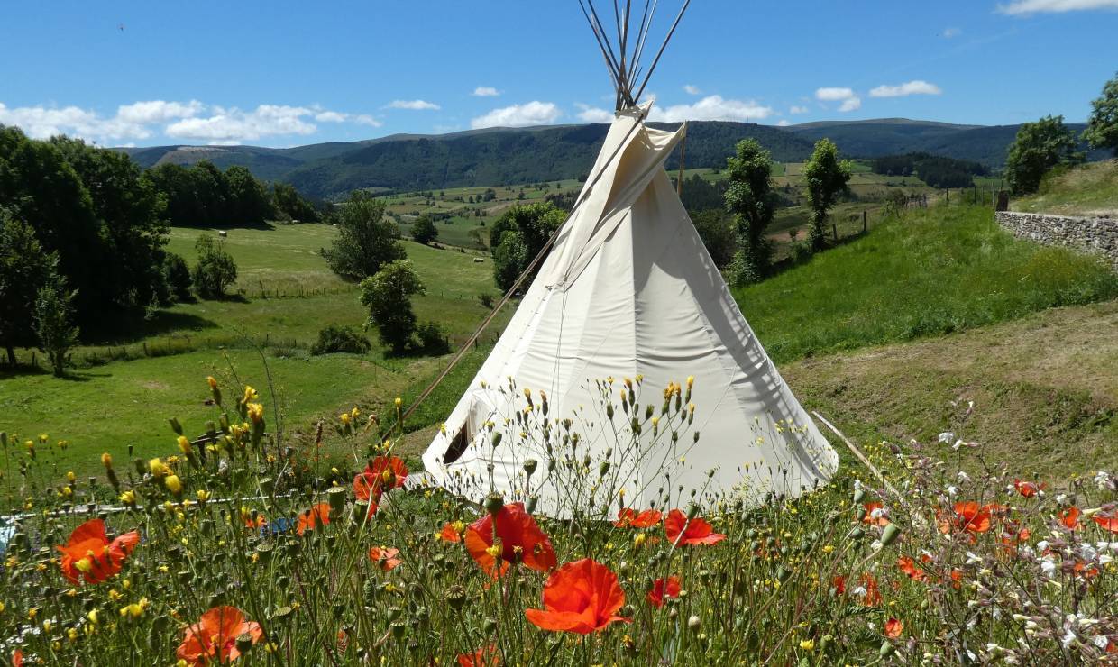 Tipi 1