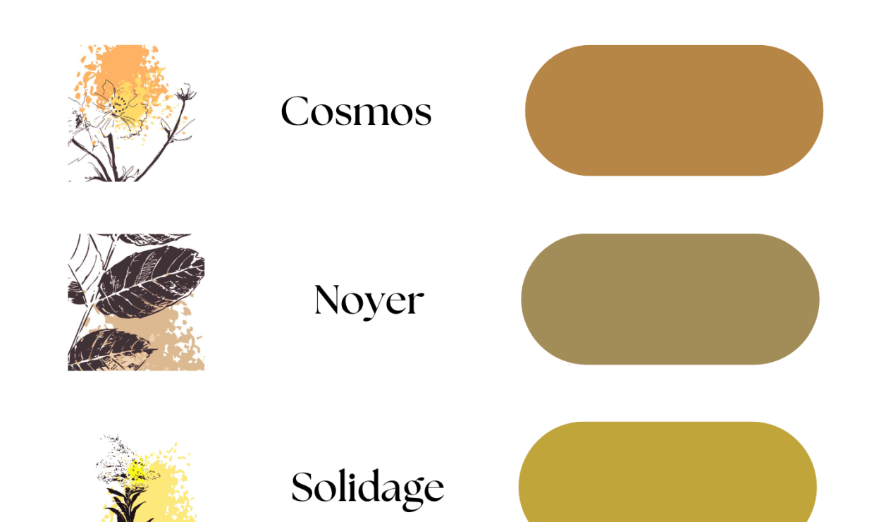 Plusieurs variantes de couleurs selon les plantes utilisées