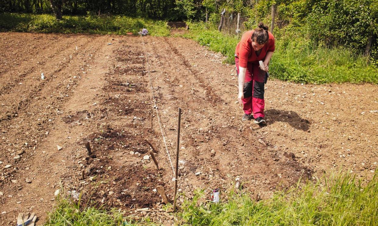 Plantation
