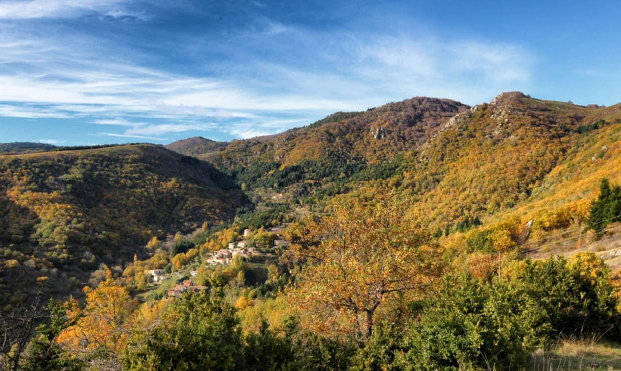 Cevennes Peyraube