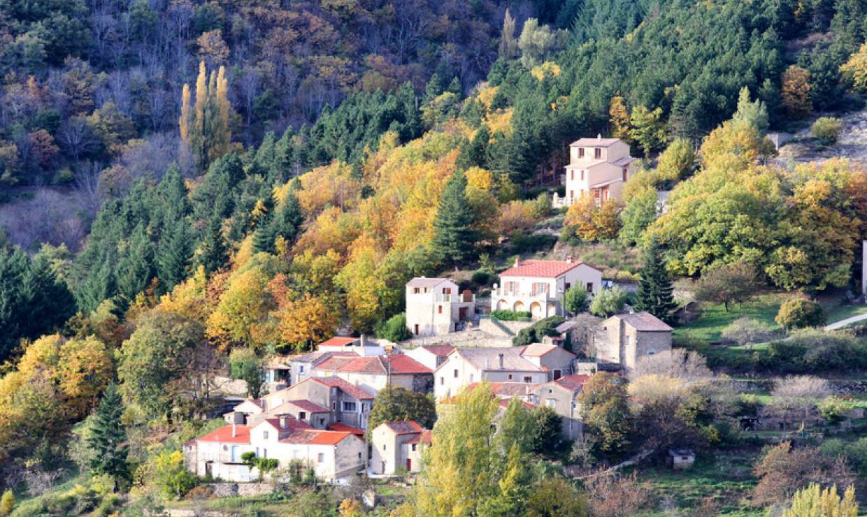 Cevennes Peyraube automne