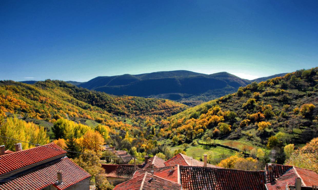 Cevennes Peyraube sud