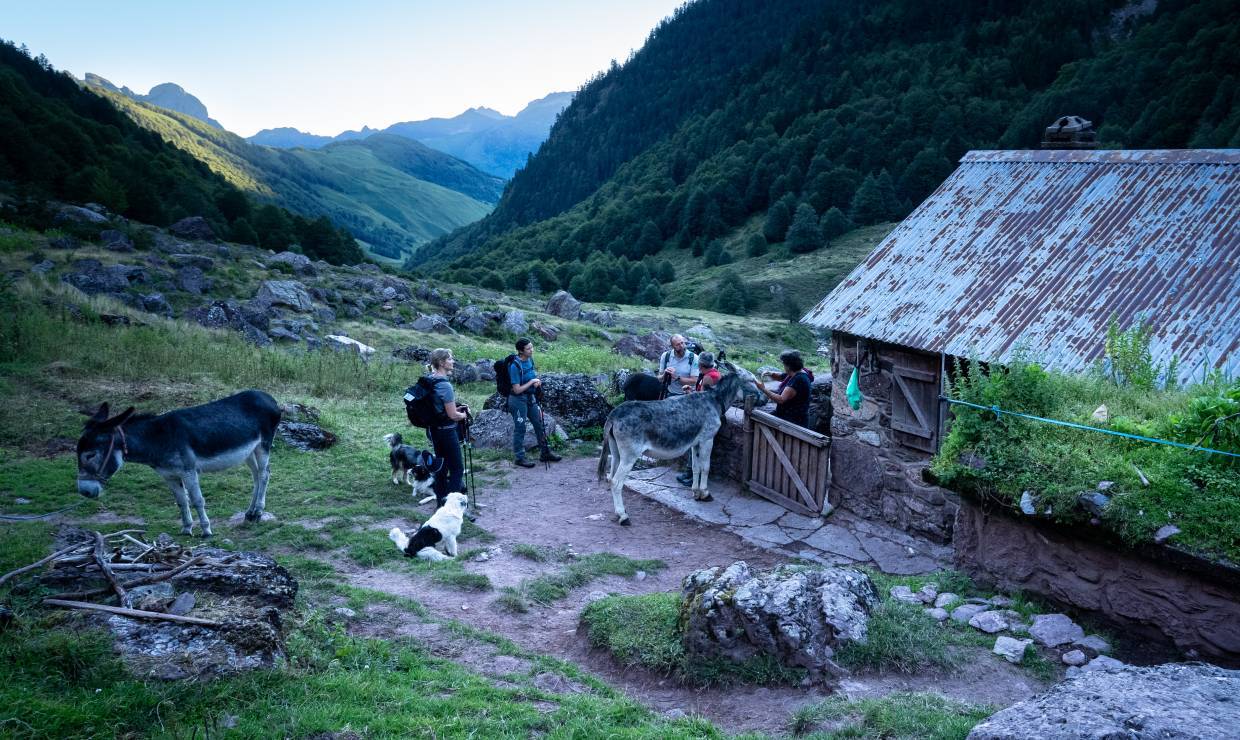 Ferme De l'Aouda - P. MEYER - AE Médias - Parc national des Pyrénées