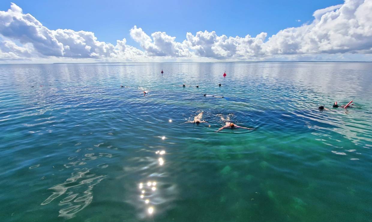 Excursion Grand Cul-de-Sac marin, snorkeling © Nico&amp;Co