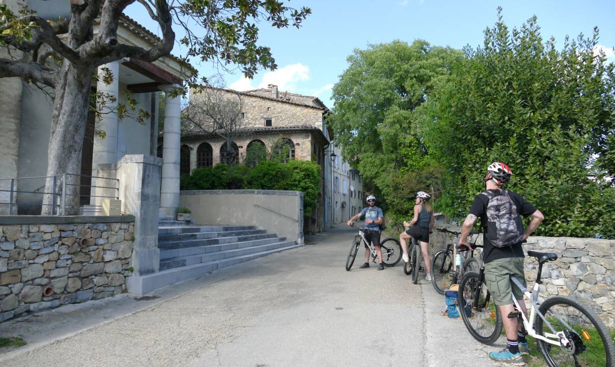 Vignoble1