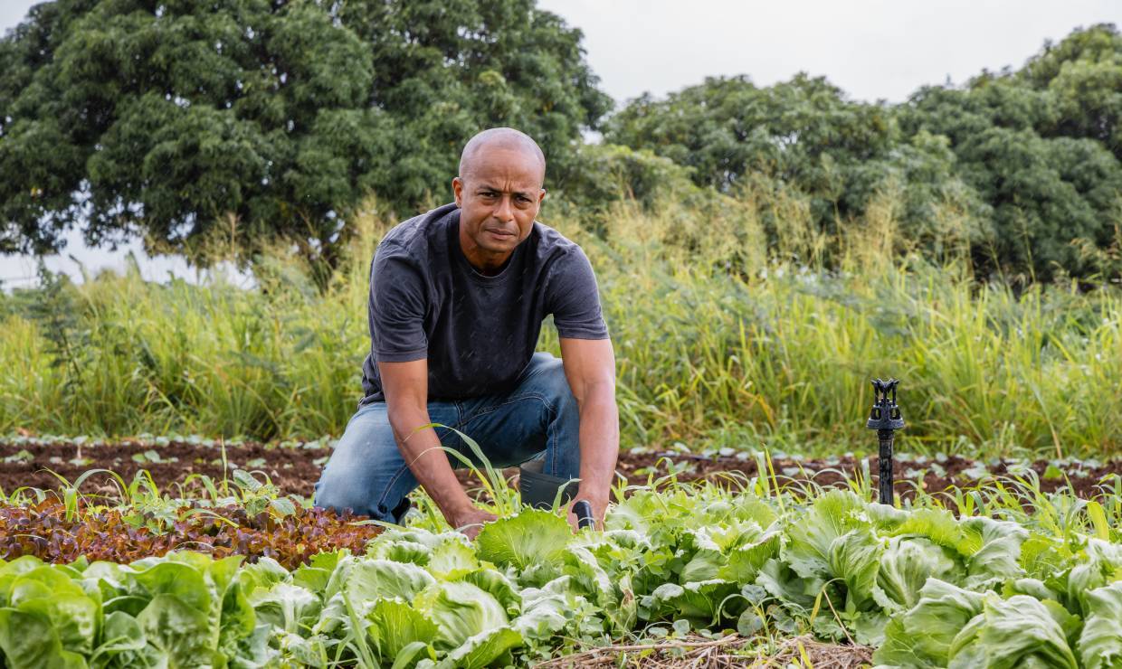 Domaine Natirèl, Jimmy Firmin © Dannick Narcisse - OFB