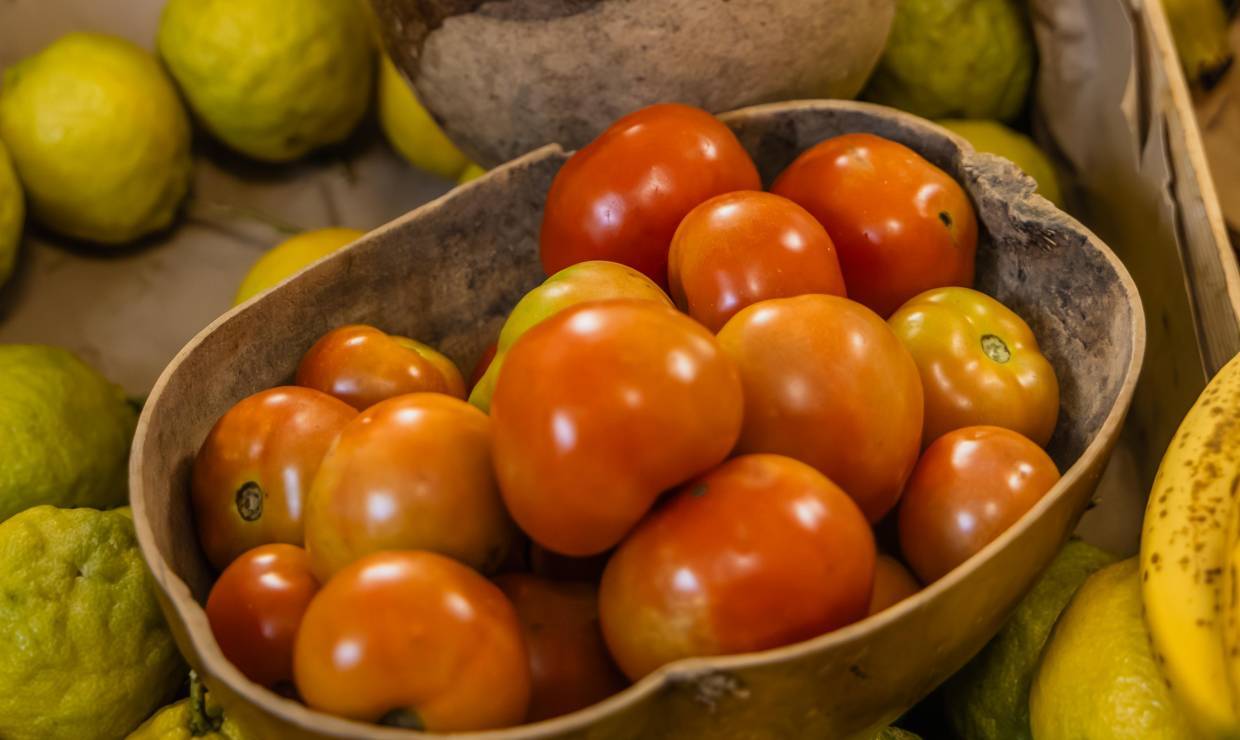 Domaine Natirèl, tomates © Dannick Narcisse - OFB