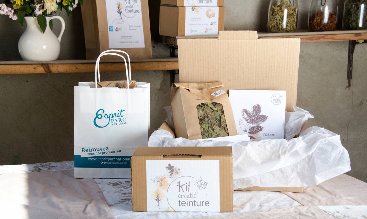 LM Chardon _ plantes tinctoriales