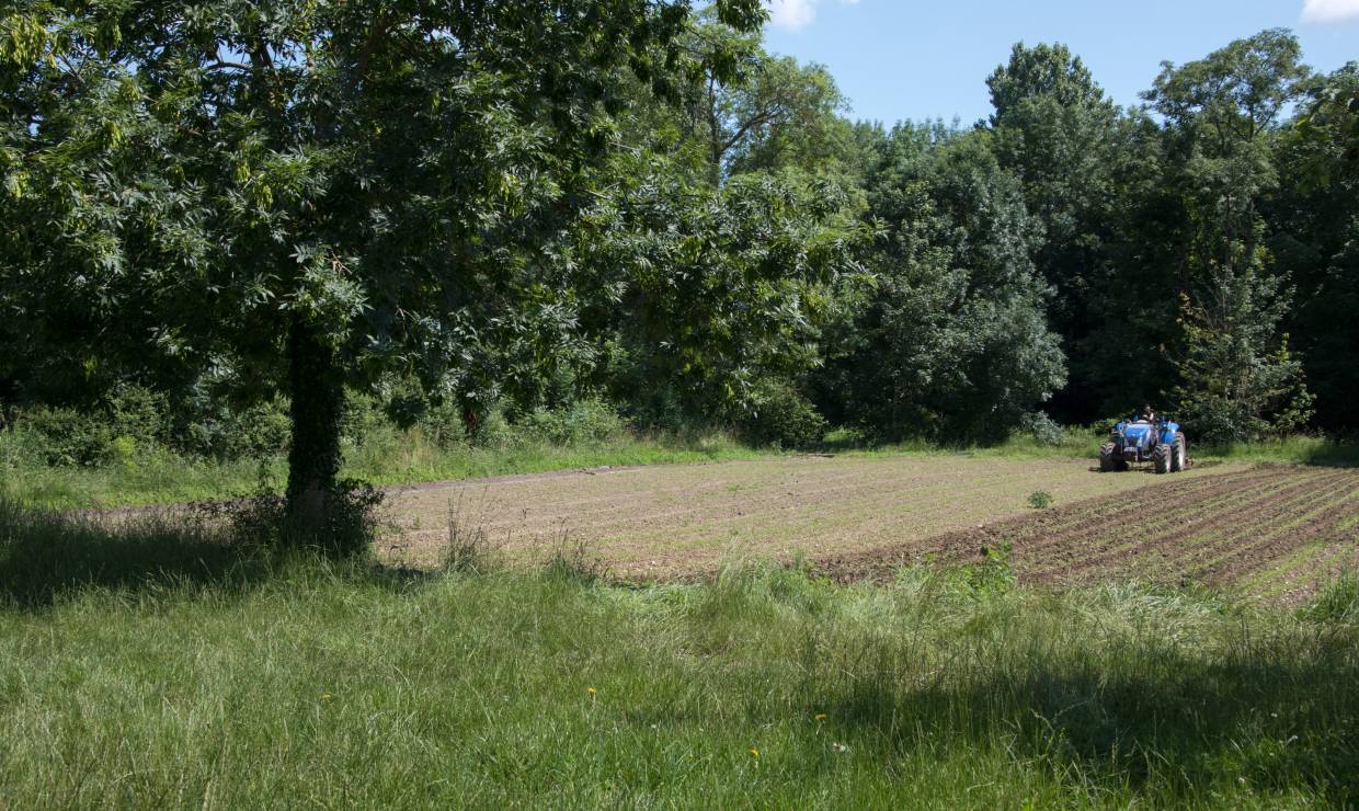 Le Jardin du Viaduc , association GREN