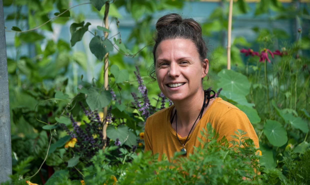 Les pigments du jardin