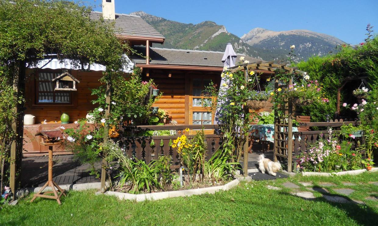 jardin