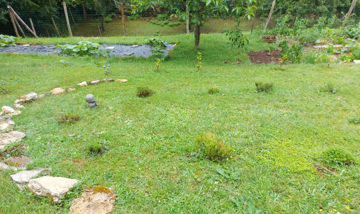 Le jardin d'Audrey