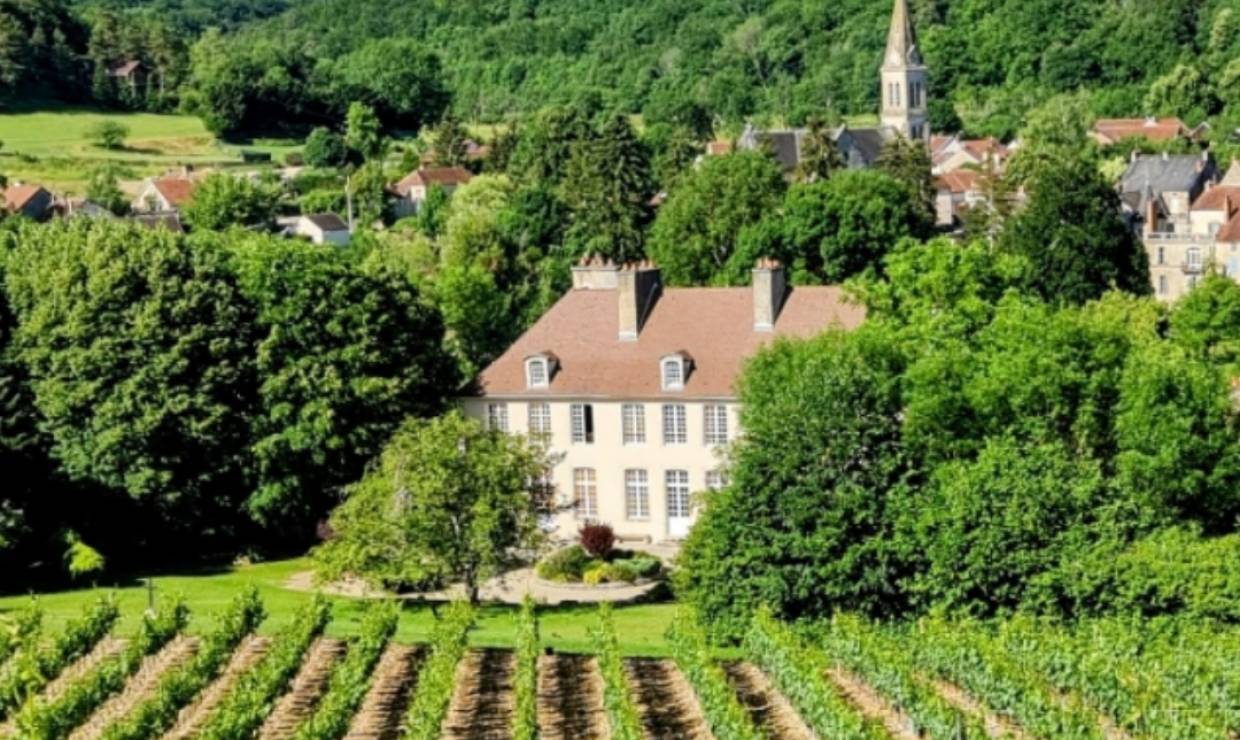 château de tavannes vu des vignes