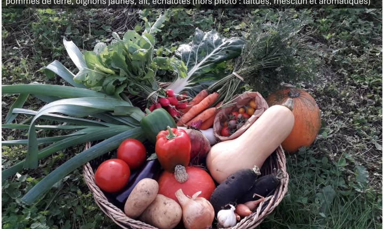 Légumes