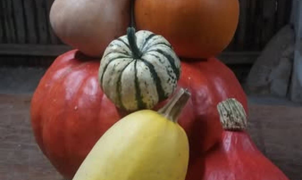 Légumes 2